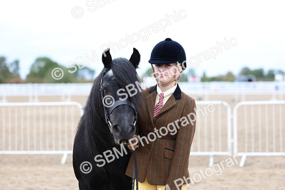 SBM_05921 - Class 29 - IH Veteran Pony