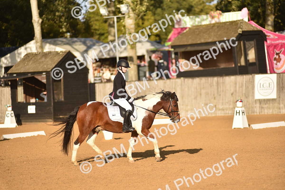 SBM_53397 - D24 - Junior Championship Prelim 3