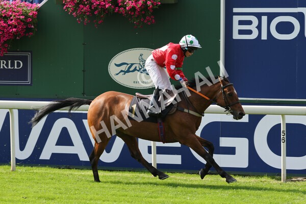 yr05092021rP-35 - Pony Races 138 and 148 cm