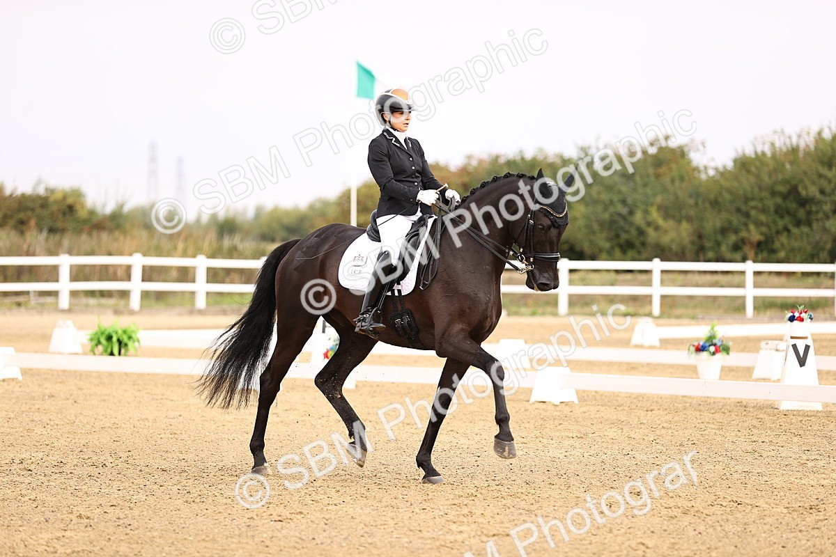 SBM_011618 - Class 1 - Medium 5