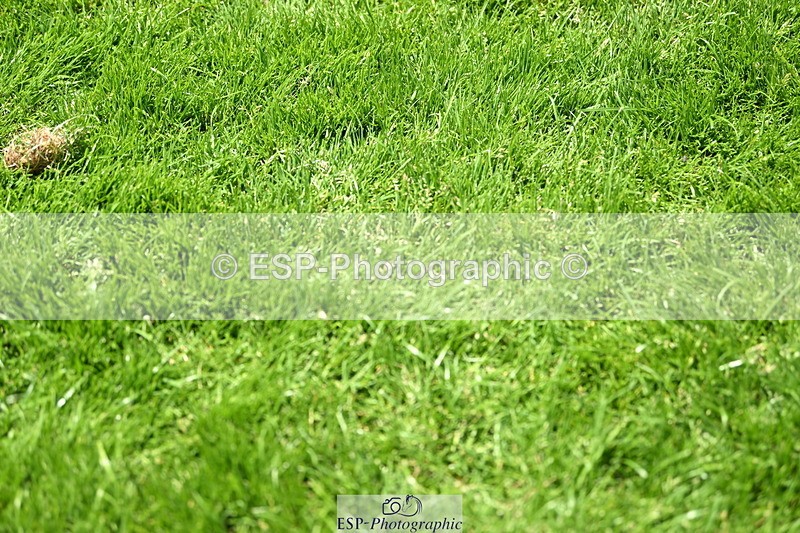 250615A-133956-11173 - Cls 38 Snr 1m40 GP