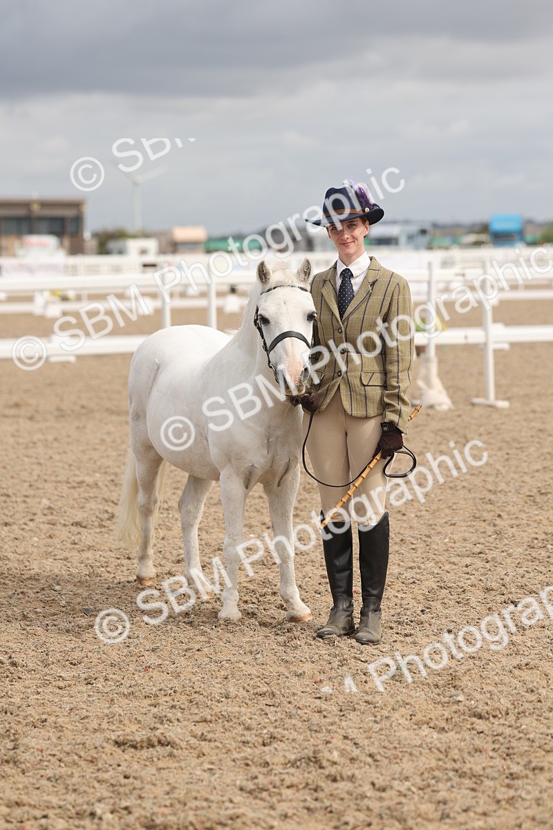 SBM_04560 - Class 19 - Horse/Pony Judge would most like to take home