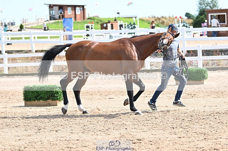 240717A-153014-02849 - Trot Up 3pm to 4pm