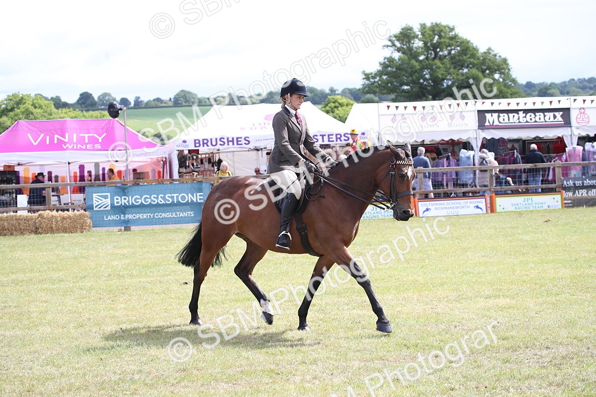 SBM_13226 - Class 95-96 - LIHS BSHA Rising Star Hack Riding Horse