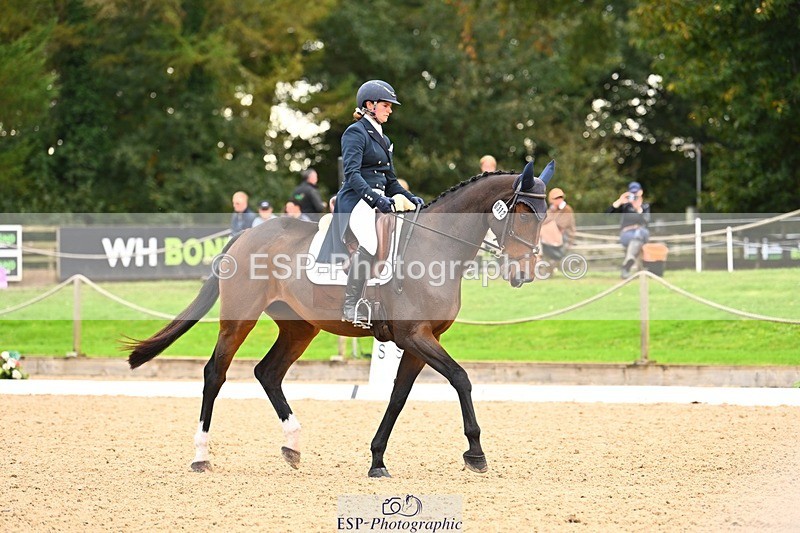 231020-150326-10072 - 312-HALVANNA.THE.LAST.SONG-Holly.Horton-DR