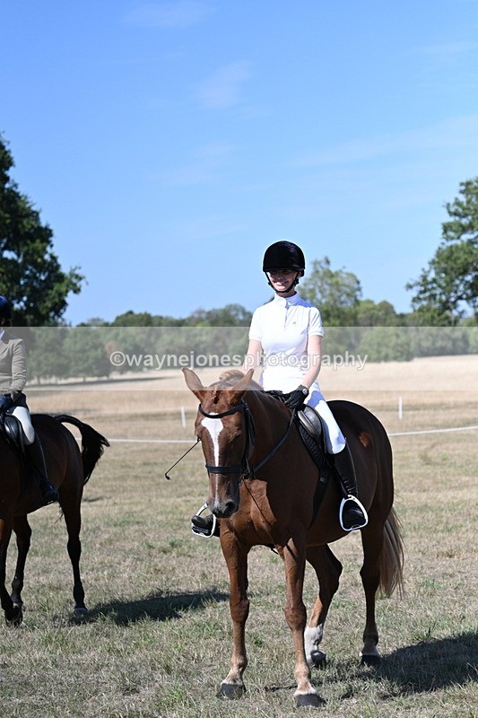 WJ7_1285 - Class 41 Prettiest Mare