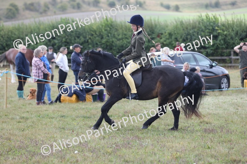 20250831-1179 - Class 15 - Ridden Veteran