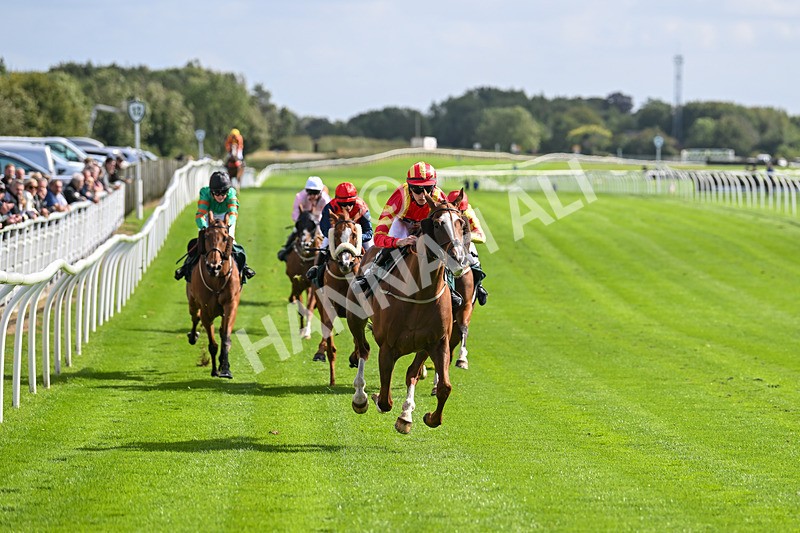 100924-Race 1-The Dancing Poet-9870 - Race 1