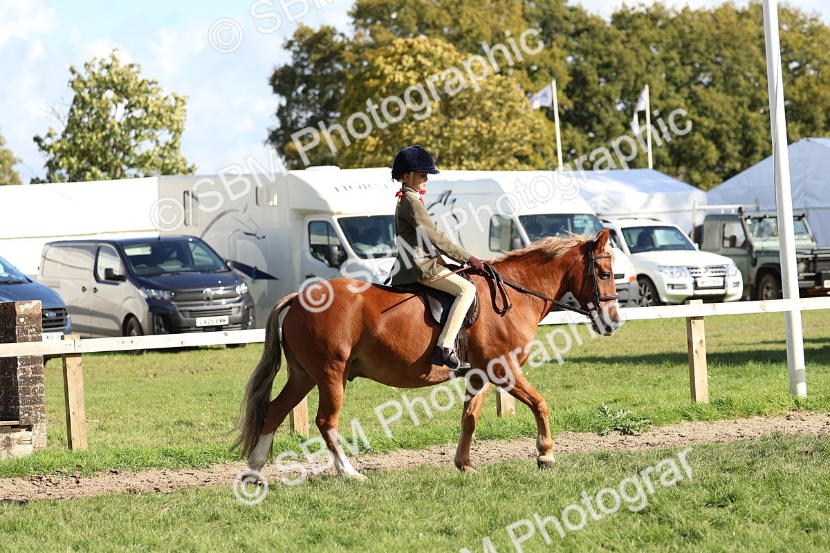 SBM_52349 - S13 - Pony Club Pony