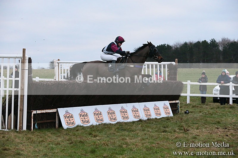 PtP 060119 587 - Larkhill Racing Club - Point-to-Point- 06/01/2019
