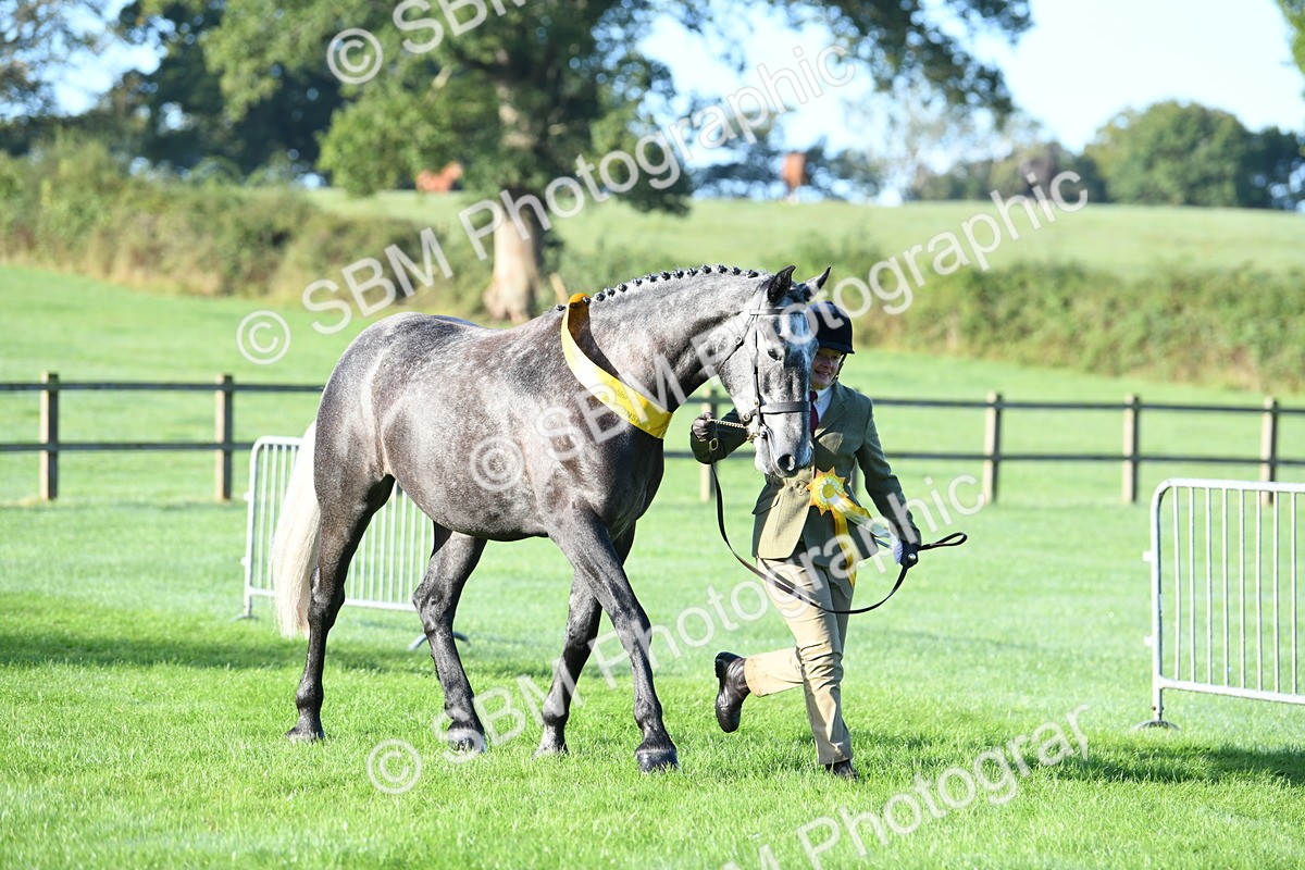 SBM_32856 - S15 - Condition & Turnout In Hand