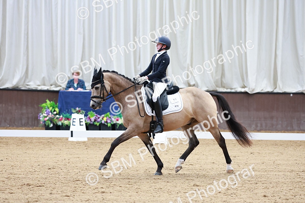 SBM_017225 - Class15 - FEI Pony