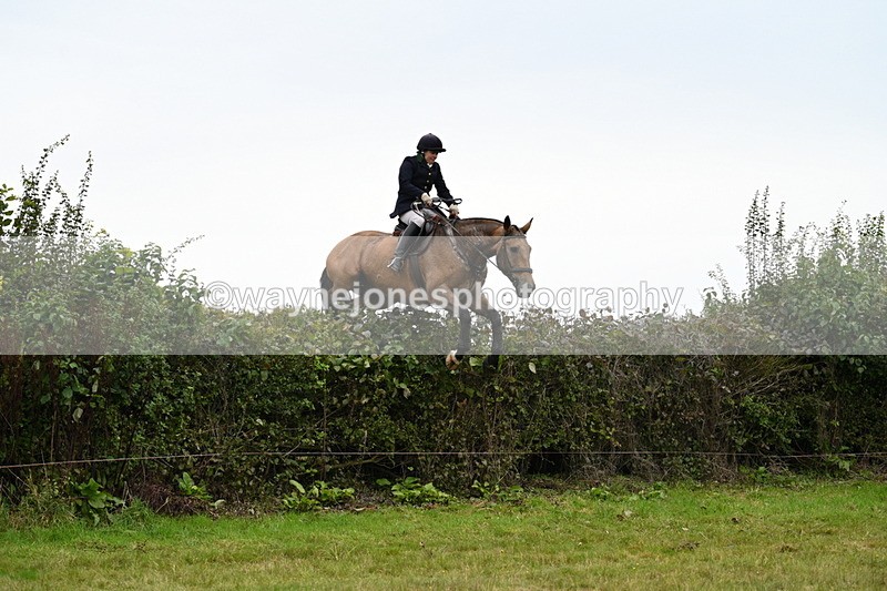 WJ7_4200 - Camera 1 Line 2