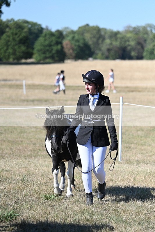 WJ7_2007 - Class 43 Best Six Legs (In hand)