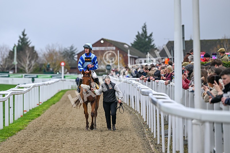 151125-Race 1-One Horse Town-2205 - Race 1