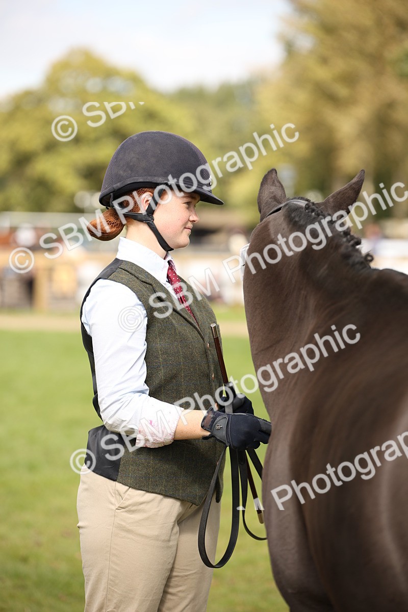 SBM_46359 - S25 - Mature Veteran In Hand