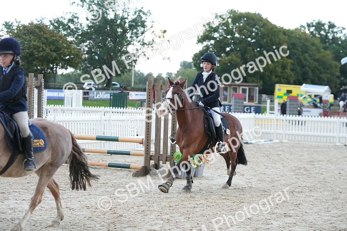SBM_54267 - Supreme Championship 60cm 65cm