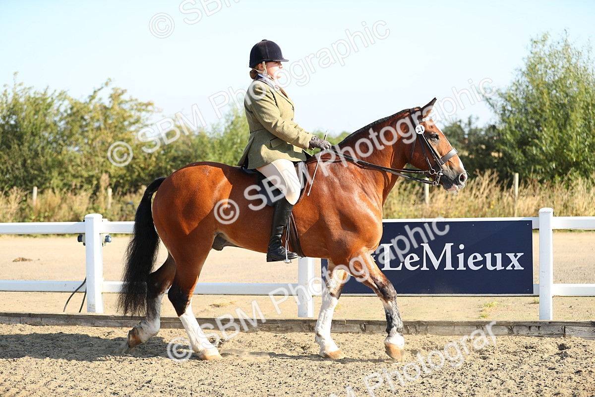 SBM_00373 - Class 41 Best Turned Out Ridden