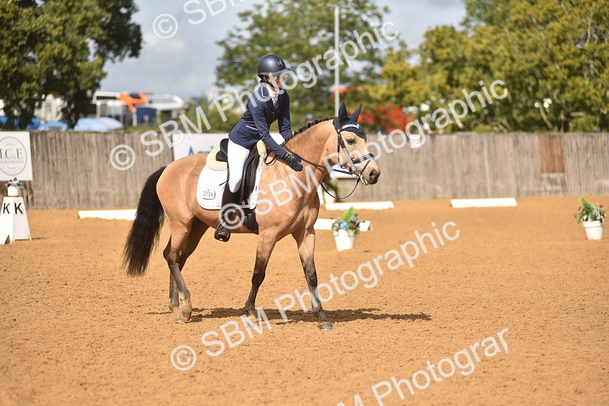 SBM_42313 - D22 - Junior Championship Intro 3