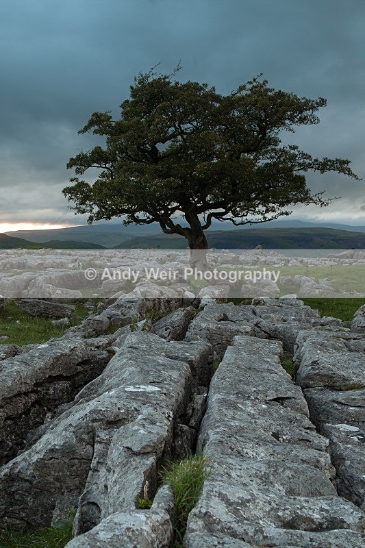 20120630-_MG_9111 - England