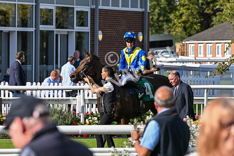 140926-Race 5-Mo Anam Chara-7575 - Race 5 4.21pm decronhorsecare.co.uk Handicap