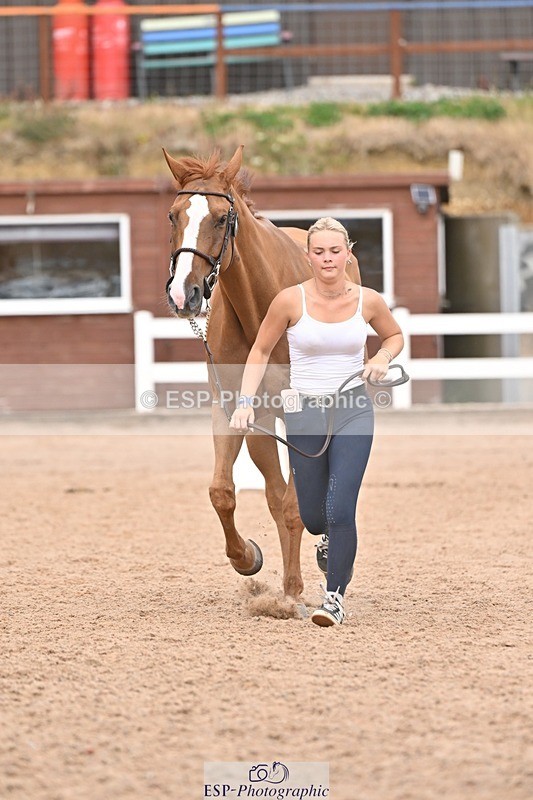 250716-163023-02650 - Trot Up 4.30 to 5.00