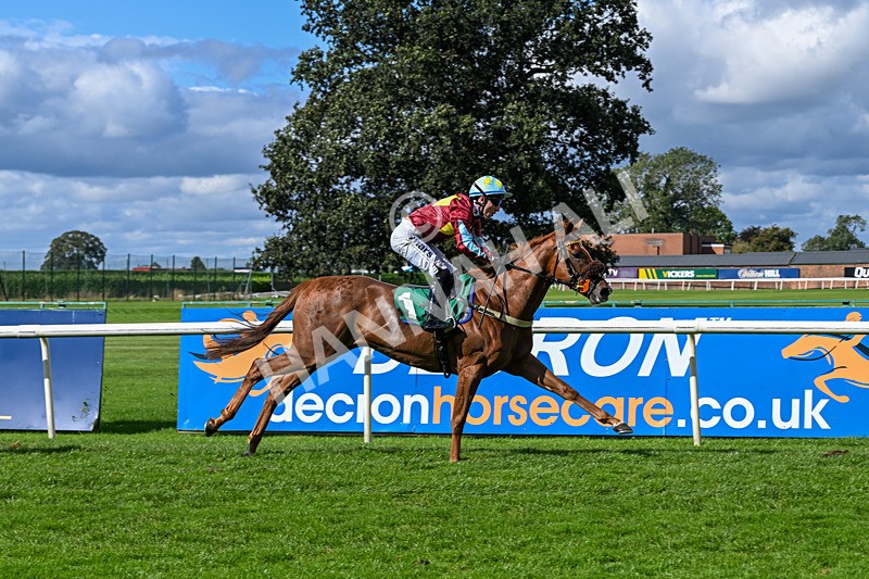 140926-Race 1-Satyress-6647 - Race 1 2.21pm Constant Security Services Apprentice Handicap
