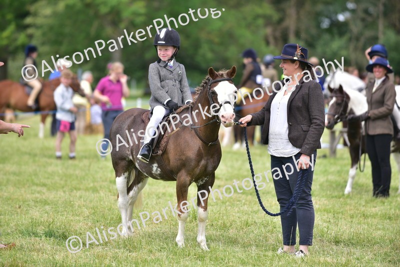 20260614-1398 - Class 11b - Lead Rein Pony (Plaited)