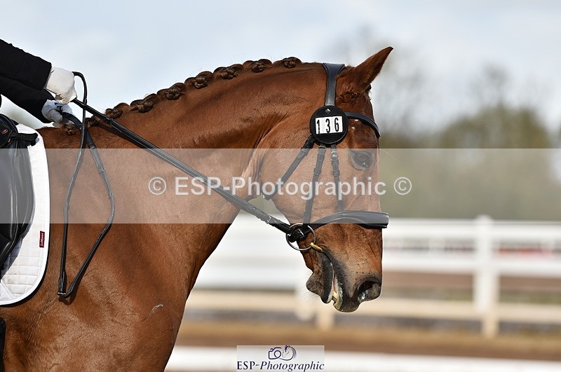 231104A-120516-01671 - Cls 5 Novice 37A