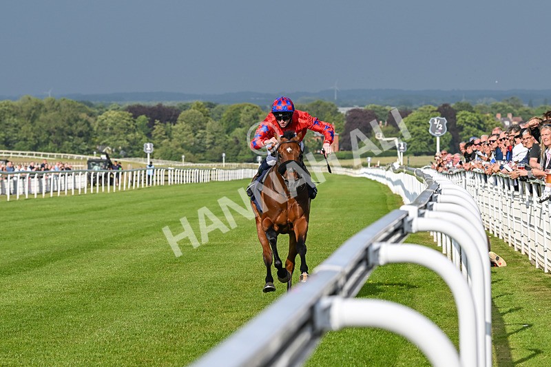 170625-Race 1-Command The Stars-5598 - Race 1