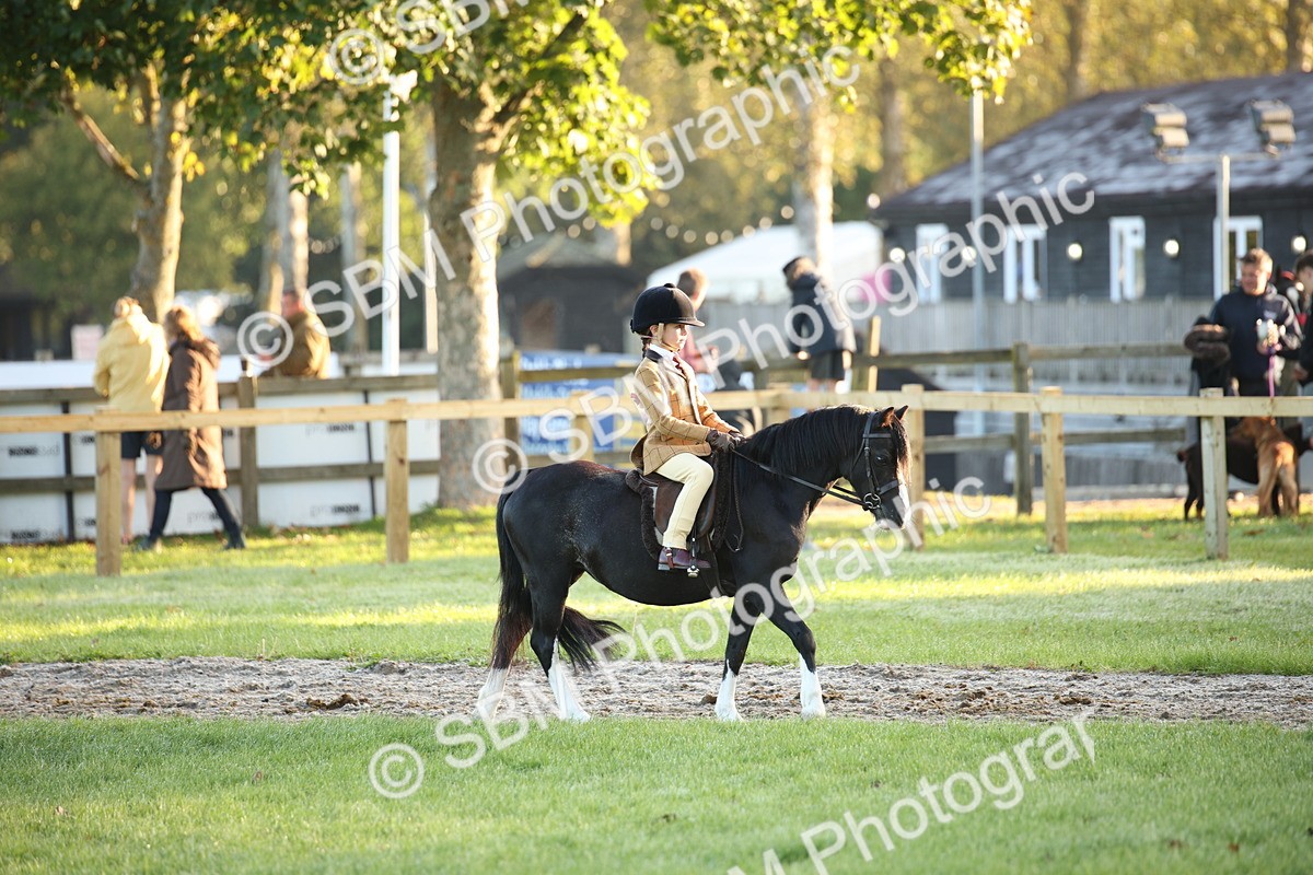 SBM_32253 - S8 - Best Turned Out