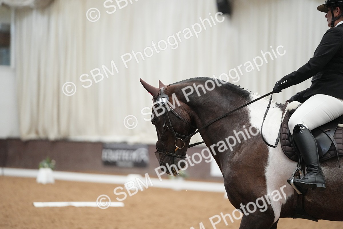 SBM_004303 - Class 11 - Elementary 2 Champs