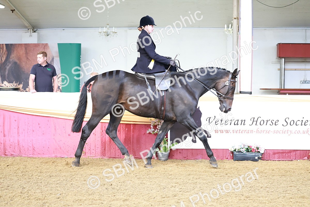 SBM_12018 - Class 102 - Equitation (Best Rider) Adult