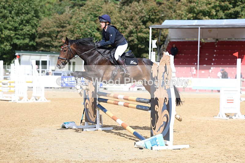 3E7A9171 - Class 9: Senior British Novice/90cm open