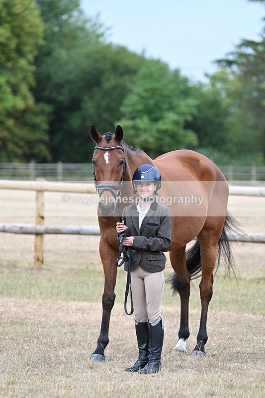 WJ7_9931 - Class 5a Most Handsome Gelding (above 14.2hh)