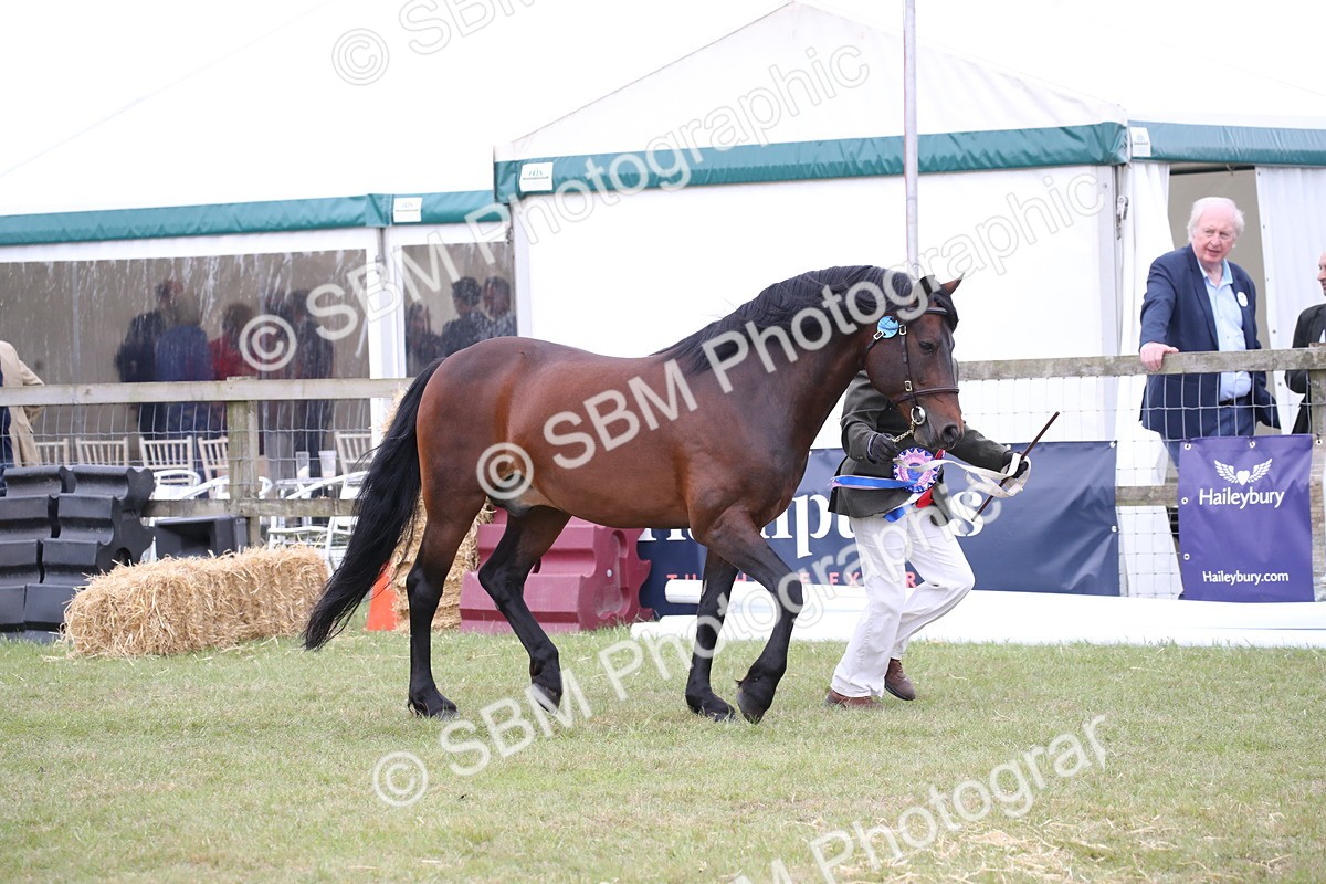 SBM_09767 - Ch 50 - Price Family Supreme In Hand