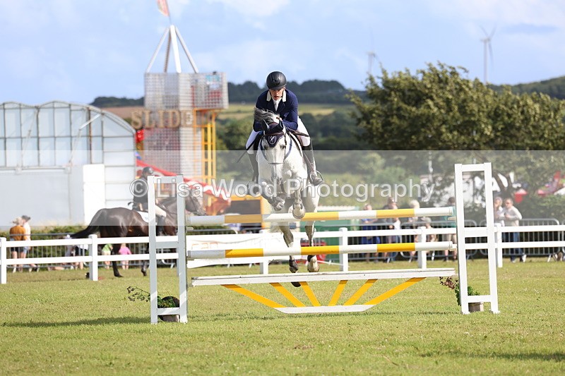 3E7A3648 - Class B: Showjumping Accumulator