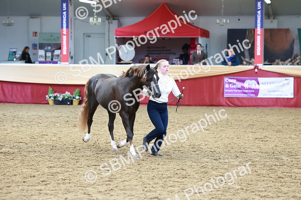 SBM_17512 - Class 951 - M&M IH Supreme Final