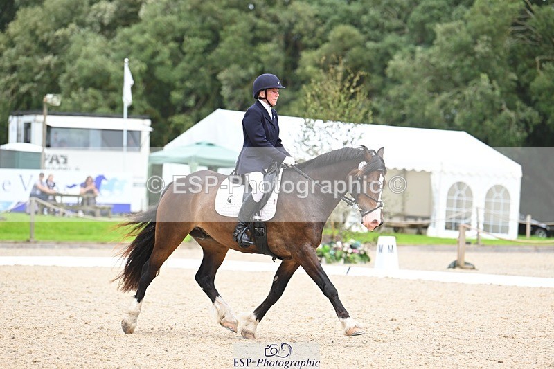 230813-140453-07670 - Cls 13 Medium Bronze 13.15 to End