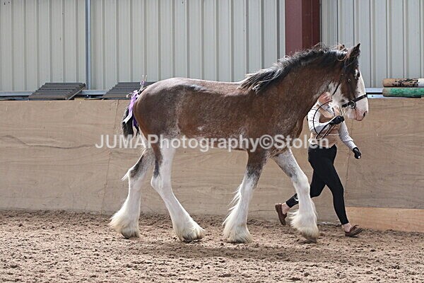 SIAL0185 - Indoor Classes