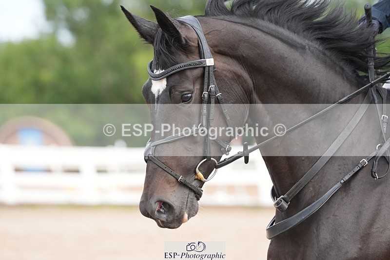 250731-102141-01356 - Cls 08  85cm Nat Am Qual