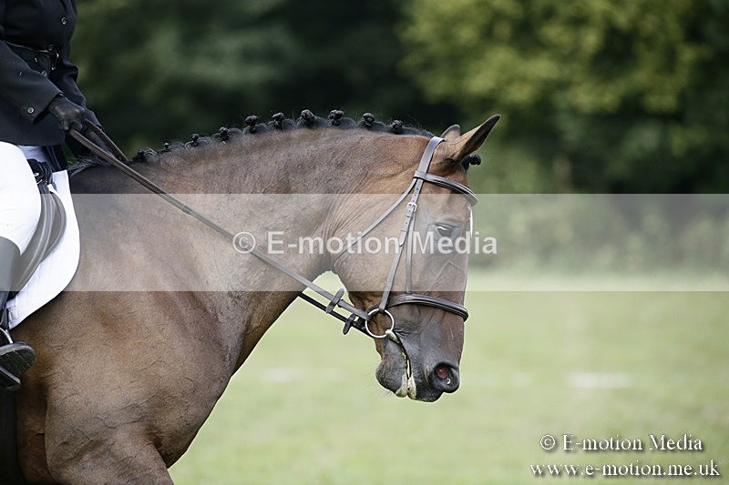 BVR090918 149 - BVRC Dressage and Show Jumping 09/09/18