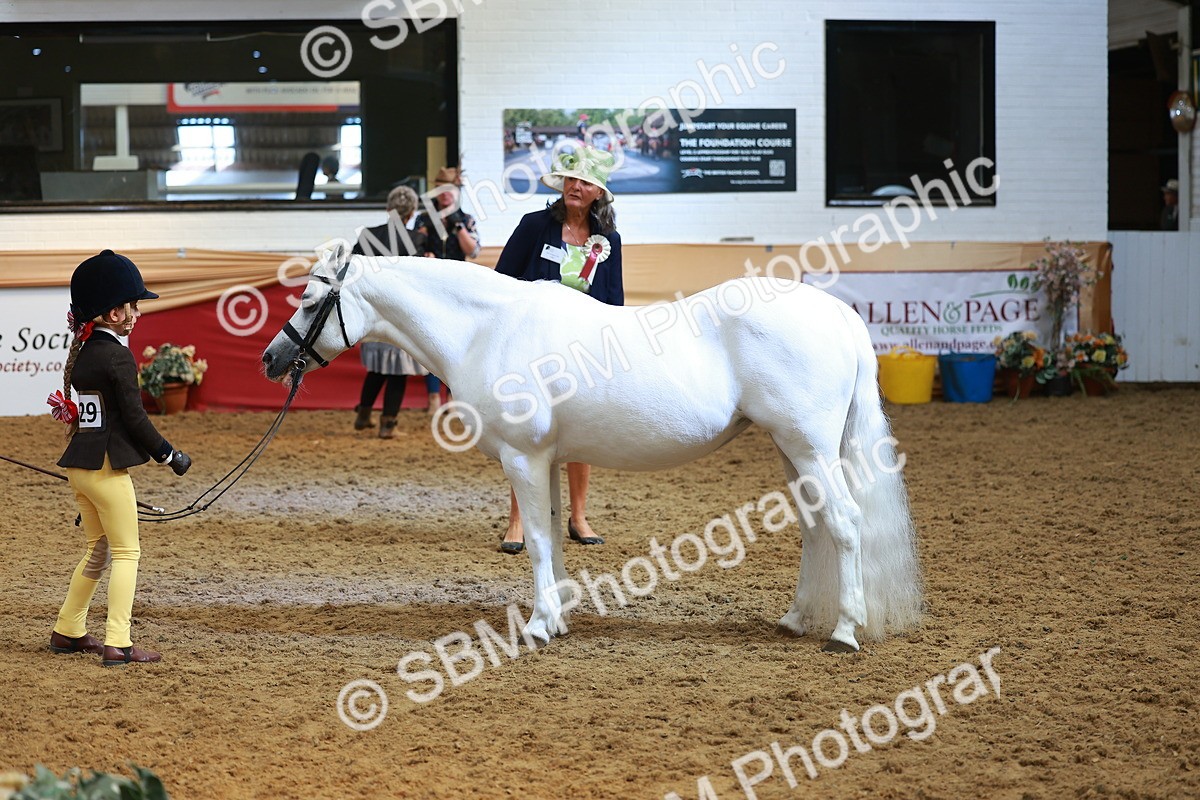 SBM_10723 - Class 103 - HOYS Veteran Qualifier - Ridden Pre Vet
