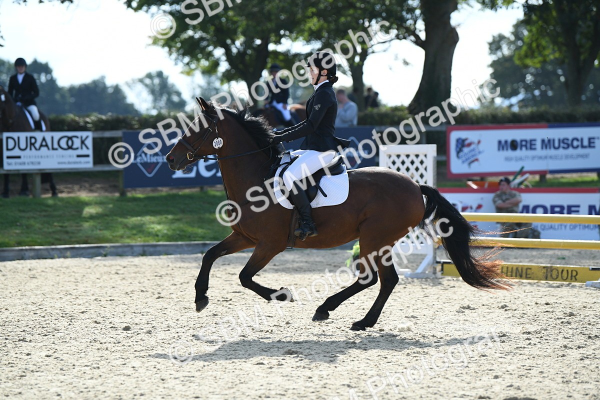 SBM_61575 - j25 - Junior Horse 80cm Championship