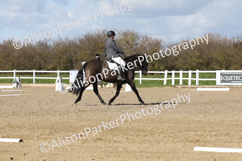 20260314-4856 - CT6 - Elementary 1