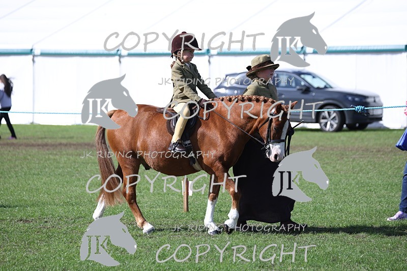 APP_3804 - Class 13 Lead rein