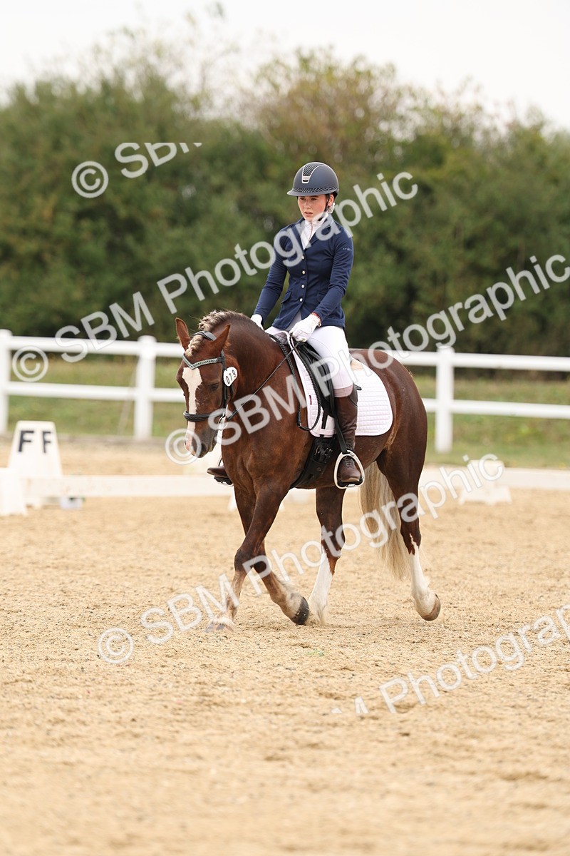 SBM_01061 - Class 8 - Novice 27 Champs
