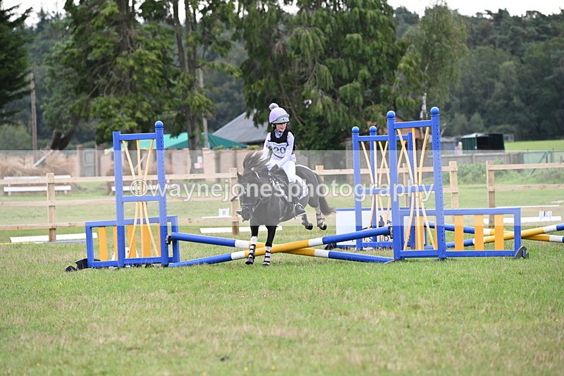 WJ6_0356 - 40cm Time 10:00 to 10:28