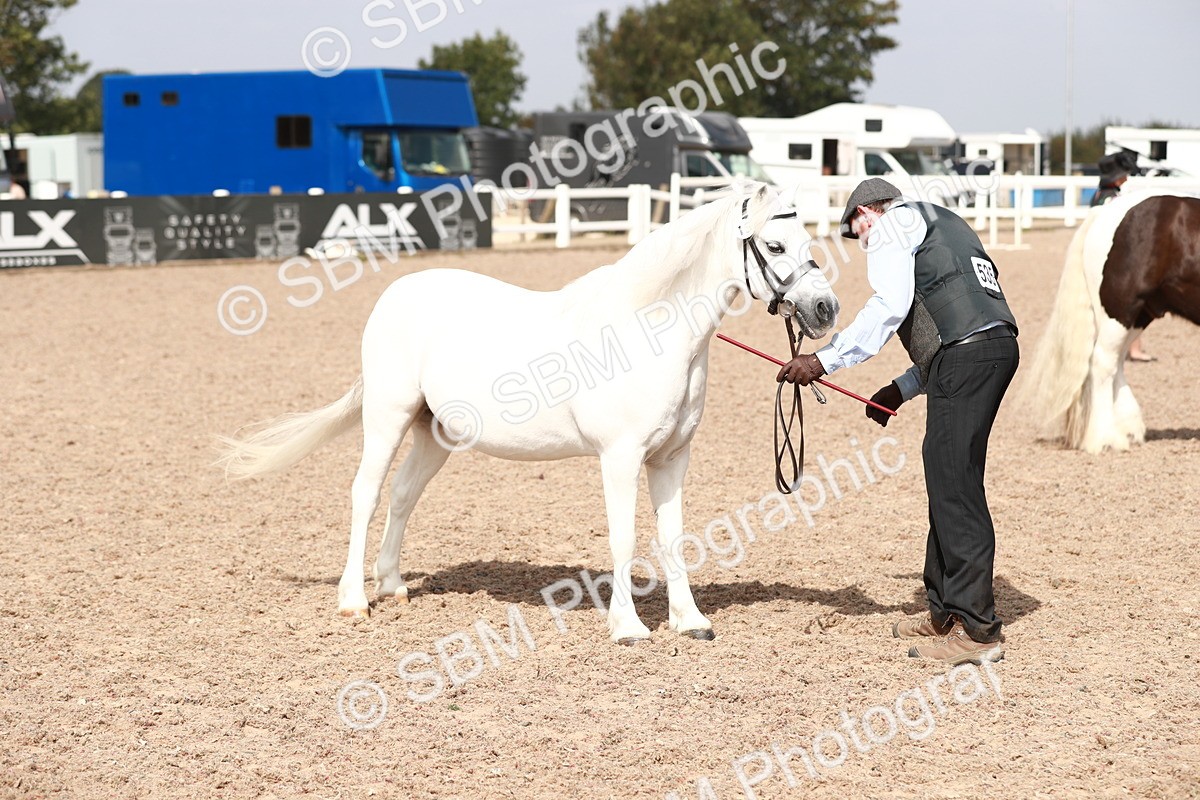 SBM_13901 - Class 209 IH Veteran Pony