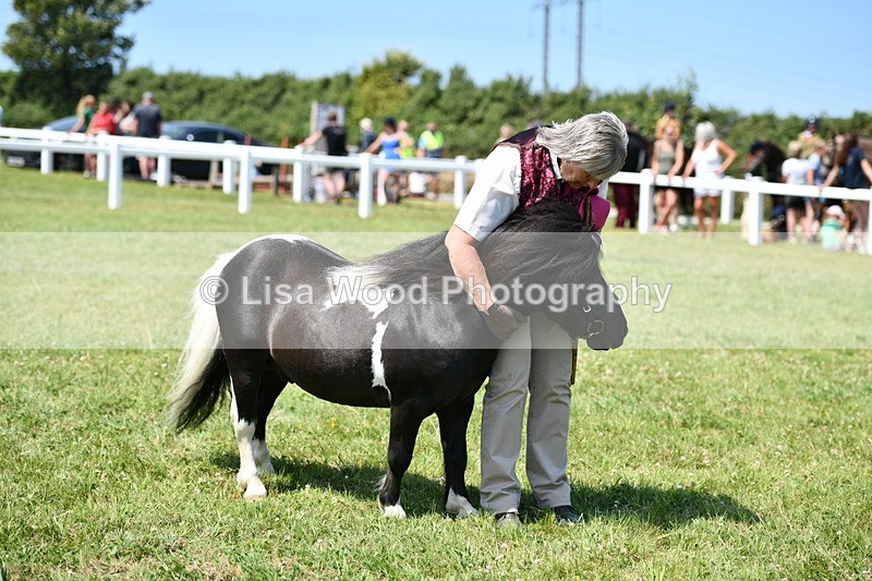 DSC_7799 - Class 64: Coloured Pony 4yrs & over